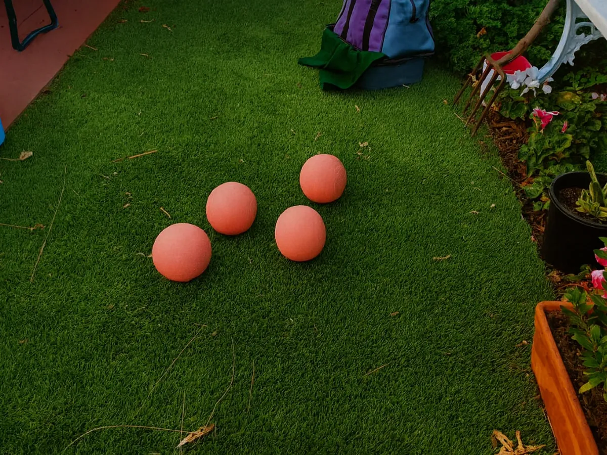 Four bowls on the green